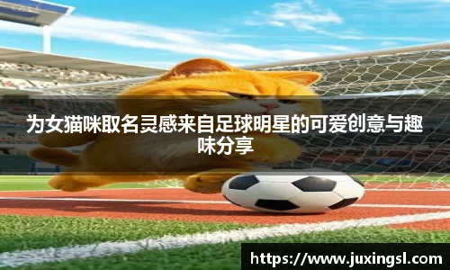 为女猫咪取名灵感来自足球明星的可爱创意与趣味分享