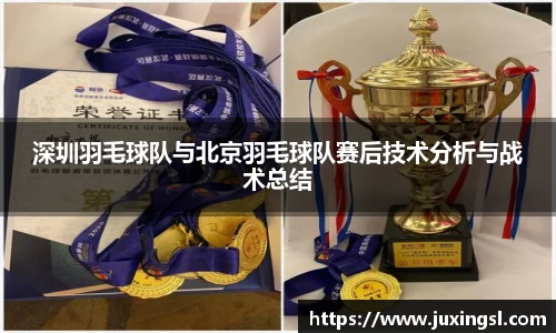 深圳羽毛球队与北京羽毛球队赛后技术分析与战术总结